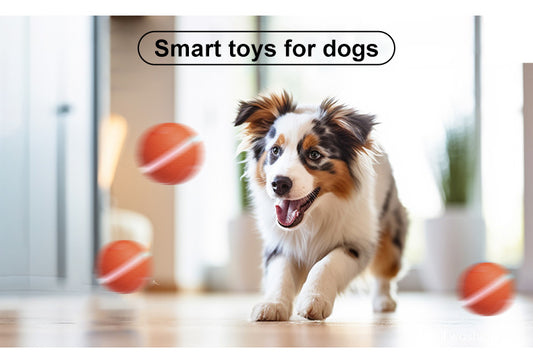 Pet Electric Dog Ball